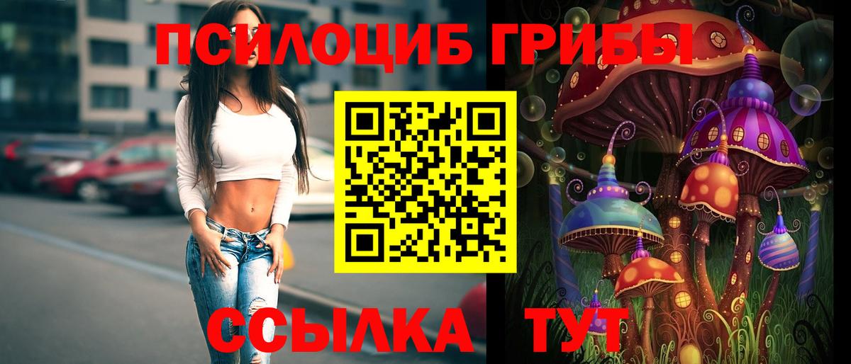 Галлюциногенные грибы мухоморы  Вход с VPN  Солнечногорск 